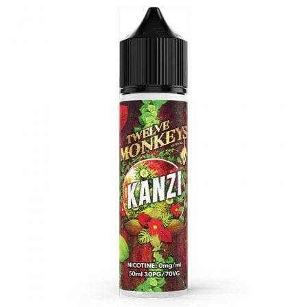 kanzi-twelve-monkeys